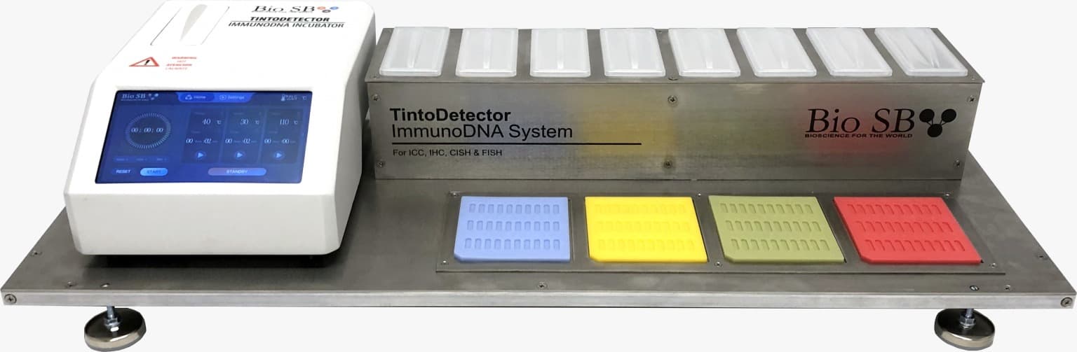 TintoDetector ImmunoDNA â€” Sistema de PatologÃ­a Molecular